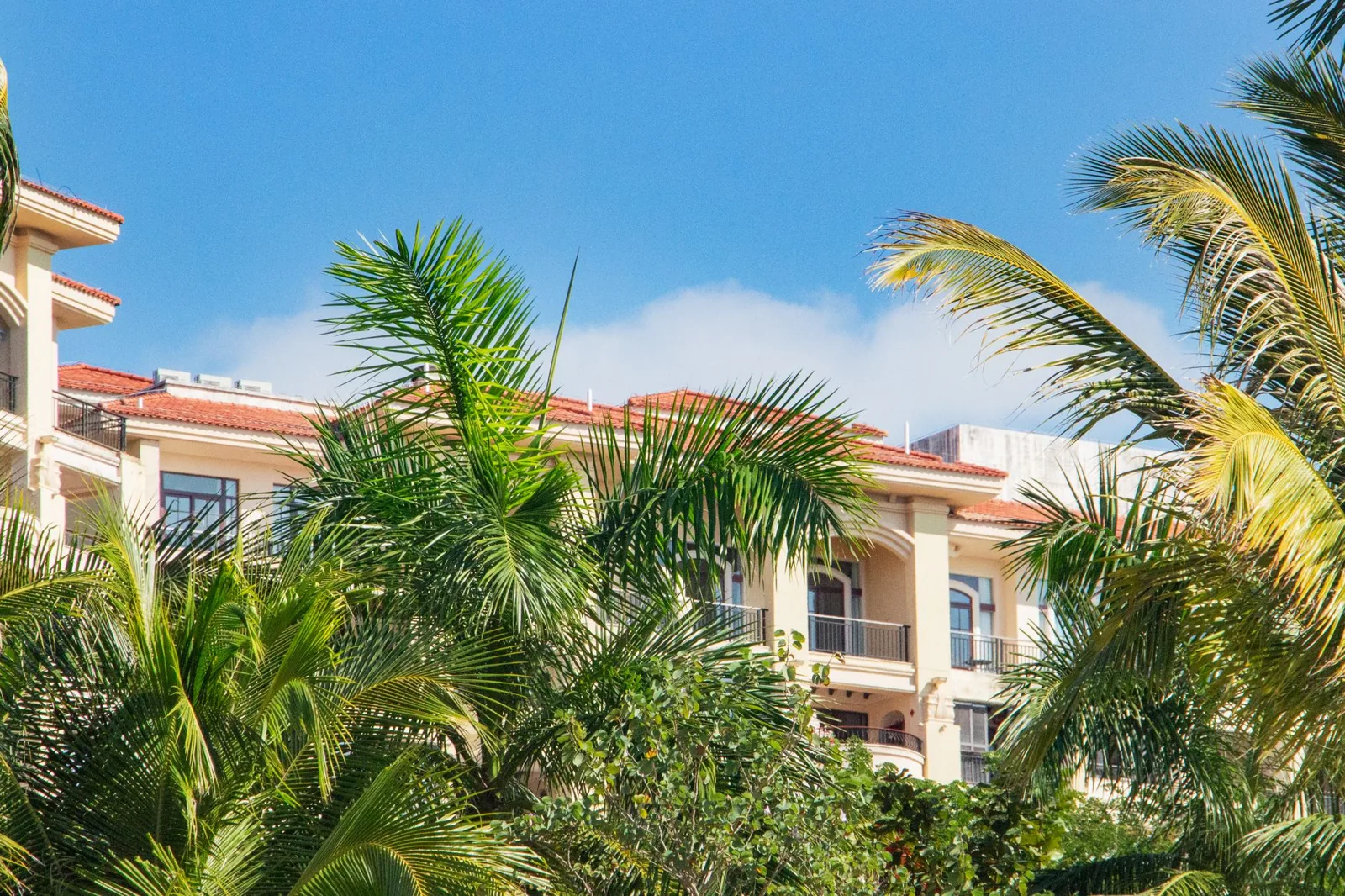 Best timeshare companies top resorts compared side by side