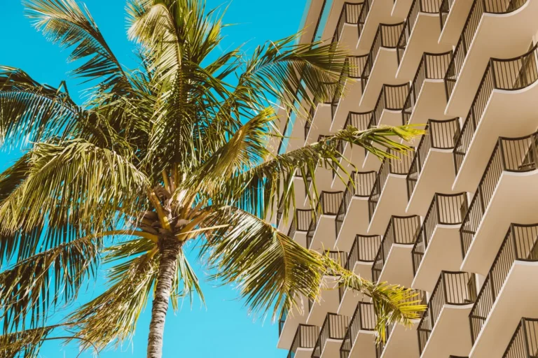 Best Timeshare Companies in 2026: 8 Brands Worth Buying, Renting, or Passing On